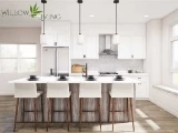 Willow Living by New Story Homes Inc. presale